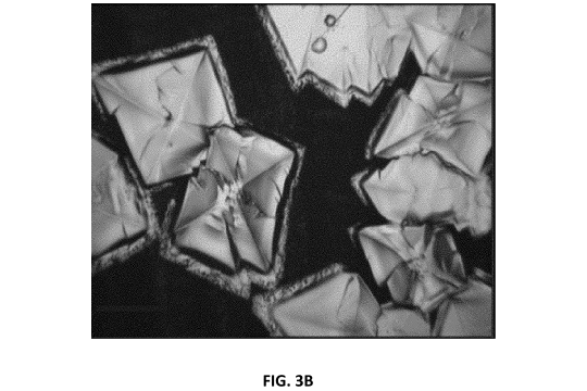 An optical microscope images of Ga13 single crystal.