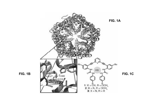 Complete protein structure of HSC.